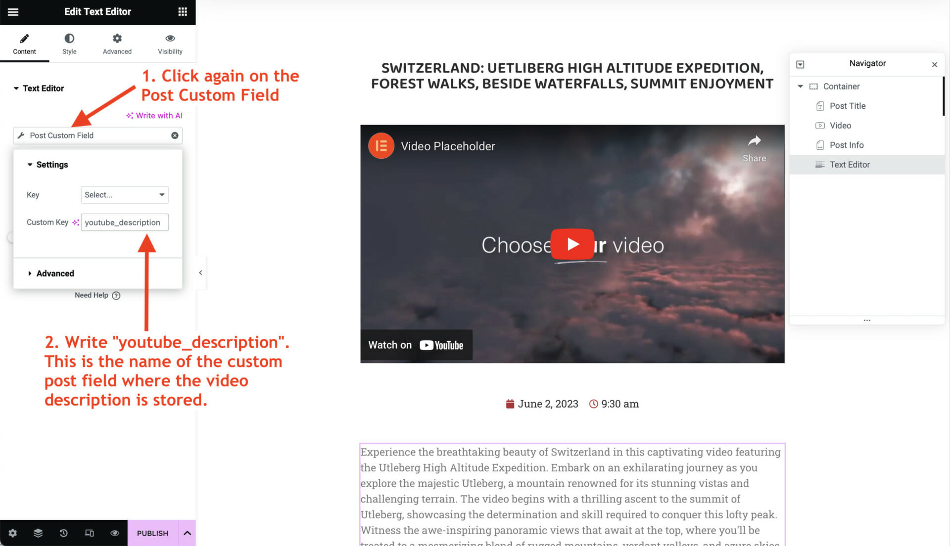 youtube description custom field